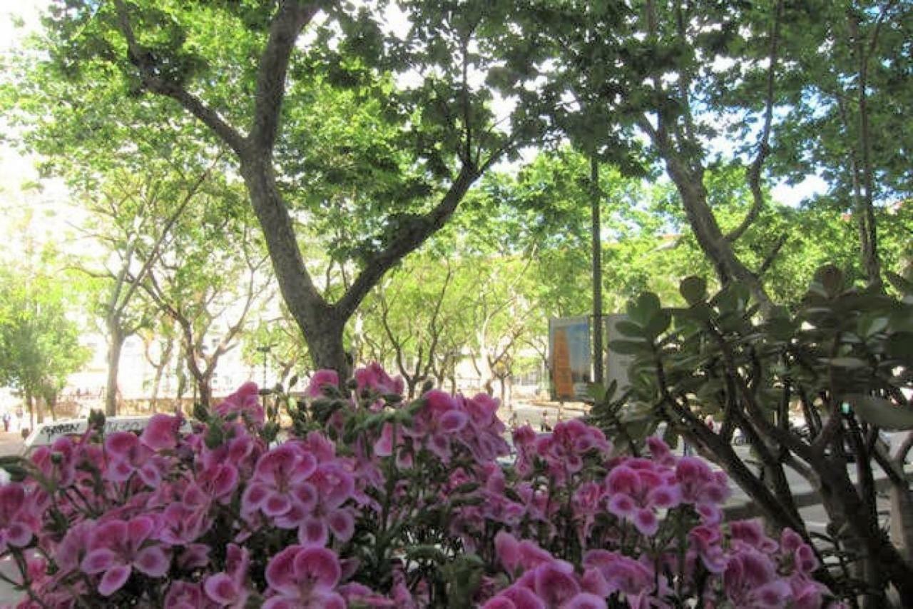 Sant Antoni Lovely Apartment 바르셀로나 외부 사진